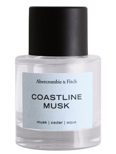 عطر ادکلن کوست‌لاین ماسک ابرکرومبی اند فچ - Coastline Musk Abercrombie & Fitch - بررسی، قیمت و خرید