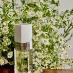 عطر ادکلن کریستال او ورت شانل - Cristalle Eau Verte Chanel - بررسی، قیمت و خرید