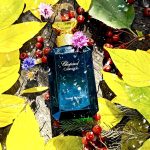 عطر ادکلن سنتال اودییار شوپارد - Santal Odeyar Chopard - بررسی، قیمت و خرید