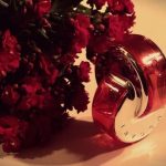 عطر ادکلن اومنیا کورال بولگاری - Omnia Coral Bvlgari - بررسی، قیمت و خرید