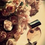 عطر ادکلن شیر بیوتی کلوین کلاین - Sheer Beauty Calvin Klein - بررسی، قیمت و خرید
