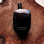 عطر ادکلن واندراود کومه د گارسون - Wonderoud Comme des Garcons - بررسی، قیمت و خرید