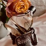 عطر ادکلن او سنسوال بوتگا ونتا - Eau Sensuelle Bottega Veneta - بررسی، قیمت و خرید