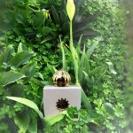 عطر ادکلن آنور وومن آمواج - Honour Woman Amouage - بررسی، قیمت و خرید