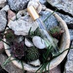 عطر ادکلن ایو تروث اِیوون - Eve Truth Avon - بررسی، قیمت و خرید