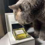 عطر ادکلن ریما یازده کارنر بارسلونا - Rima XI Carner Barcelona - بررسی، قیمت و خرید