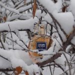 عطر ادکلن لا نوي ماجيك بروکارد - La Nuit Magique Brocard - بررسی، قیمت و خرید
