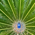 عطر ادکلن مون‌لایت این هیون بای کیلیان - Moonlight in Heaven By Kilian - بررسی، قیمت و خرید