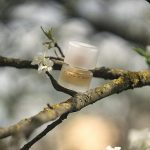 عطر ادکلن سیمپلی کلینیک کلینیک - Simply Clinique Clinique - بررسی، قیمت و خرید