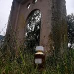 عطر ادکلن رز دی اسپارتا بوشِرون - Rose d'Isparta Boucheron - بررسی، قیمت و خرید