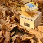 عطر ادکلن بدگلی میشکا بدگلی میشکا - Badgley Mischka Badgley Mischka - بررسی، قیمت و خرید