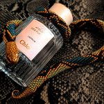 عطر ادکلن سدر کلوئه - Cedrus Chloé - بررسی، قیمت و خرید