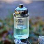 عطر ادکلن پاشا د کارتیه فرشور منت کارتیر - Pasha de Cartier Fraicheur Menthe Cartier - بررسی، قیمت و خرید