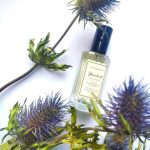 عطر ادکلن استانبول آتلیه ربل - Istanbul Atelier Rebul - بررسی، قیمت و خرید