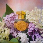 عطر ادکلن الدر فلاور اند گوسبری باله پرفیومز - Elderflower & Gooseberry (Bez i Agrest) Bale Perfumes - بررسی، قیمت و خرید