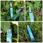 عطر ادکلن واتر آیوی بروکارد - Water Ivy Brocard - بررسی، قیمت و خرید