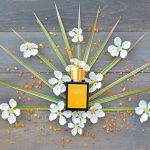 عطر ادکلن کلوپاترا پاور پلی کرانیکلز - سنتس آو هیستوری - Cleopatra’s Power Play, 47 BC Chronicles – scents of history - بررسی، قیمت و خرید