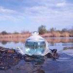 عطر ادکلن نوا پرل کچرل - Noa Perle Cacharel - بررسی، قیمت و خرید