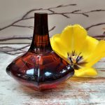 عطر ادکلن سیکرت آبسشن کلوین کلاین - Secret Obsession Calvin Klein - بررسی، قیمت و خرید