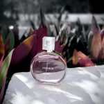 عطر ادکلن شانس او تندر شنل - Chance Eau Tendre Chanel - بررسی، قیمت و خرید