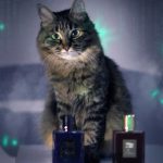 عطر ادکلن مون‌لایت این هیون بای کیلیان - Moonlight in Heaven By Kilian - بررسی، قیمت و خرید