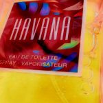 عطر ادکلن هاوانا آرامیس - Havana Aramis - بررسی، قیمت و خرید