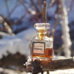 عطر ادکلن الور پرفیوم شانل - Allure Parfum Chanel - بررسی، قیمت و خرید