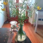 عطر ادکلن آگوا فرسکا د روزاس بلانکاس آدولفو دومینگز - Agua Fresca de Rosas Blancas Adolfo Dominguez - بررسی، قیمت و خرید