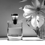 عطر ادکلن بولگاری پور هوم بولگاری - Bvlgari Pour Homme Bvlgari - بررسی، قیمت و خرید