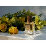 عطر ادکلن زولاتایا دریادا ائورورا بوریالیس - Золотая дриада — Golden Dryad Aurora Borealis - بررسی، قیمت و خرید