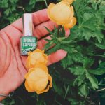 عطر ادکلن آروما کارلیا گرین آروما کرلیا - Aroma Karelia Green (Аромат Карелии - Зеленый) Aroma Karelia - بررسی، قیمت و خرید