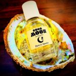 عطر ادکلن کوکو مون بیش گیزا - Coco Moon Beach Geeza - بررسی، قیمت و خرید