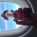 عطر ادکلن سیسترلند رد رز بنتون - Sisterland Red Rose Benetton - بررسی، قیمت و خرید