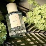 عطر ادکلن سدر کلوئه - Cedrus Chloé - بررسی، قیمت و خرید