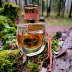 عطر ادکلن نومد ابسولو دو پارفوم کلوئه - Nomade Absolu de Parfum Chloé - بررسی، قیمت و خرید