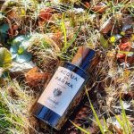 عطر ادکلن کولونیا ساندالو کنسانتره آکوا دی پارما - Colonia Sandalo Concentrée Acqua di Parma - بررسی، قیمت و خرید