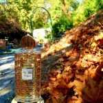 عطر ادکلن اوریجینال کلن کرید - Original Cologne (Pure White Cologne) Creed - بررسی، قیمت و خرید