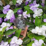 عطر ادکلن کلین دویل سیلور دریم بورژوا - Clin d'Oeil Silver Dream Bourjois - بررسی، قیمت و خرید