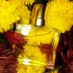 عطر ادکلن سلین دیون سلین دیون - Celine Dion Celine Dion - بررسی، قیمت و خرید