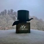عطر ادکلن مستر باربری ادو پرفیوم بربری - Mr. Burberry Eau de Parfum Burberry - بررسی، قیمت و خرید