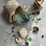 عطر ادکلن اود بایوسیا بایوسی - Eau de Biosea Biosea - بررسی، قیمت و خرید