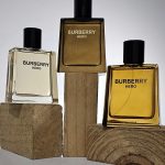 عطر ادکلن هیرو او دو پرفیوم باربری - Hero Eau de Parfum Burberry - بررسی، قیمت و خرید