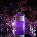 عطر ادکلن پارکو پالادیانو هفت: لیلا بوتگا ونتا - Parco Palladiano VII: Lillà Bottega Veneta - بررسی، قیمت و خرید