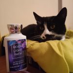 عطر ادکلن مون‌لایت پث بث اند بادی ورکز - Moonlight Path Bath & Body Works - بررسی، قیمت و خرید