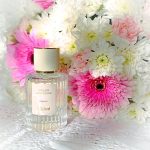 عطر ادکلن سدر کلوئه - Cedrus Chloé - بررسی، قیمت و خرید