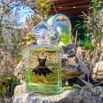 عطر ادکلن امنییا گرین جید بولگاری - Omnia Green Jade Bvlgari - بررسی، قیمت و خرید