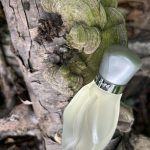 عطر ادکلن کافه کافه پور اُم کافه پارفومز - Cafe-Cafe pour Homme Cafe Parfums - بررسی، قیمت و خرید