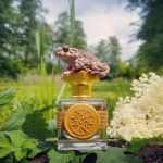 عطر ادکلن الدر فلاور اند گوسبری باله پرفیومز - Elderflower & Gooseberry (Bez i Agrest) Bale Perfumes - بررسی، قیمت و خرید