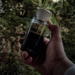 عطر ادکلن نوتورنو کومو لیک - Notturno Como Lake - بررسی، قیمت و خرید