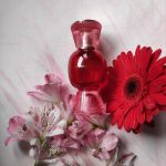 عطر ادکلن فیوِری دامورِ بولگاری - Fiori D'Amore Bvlgari - بررسی، قیمت و خرید